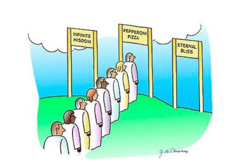 Life Is Meant To Be Fun